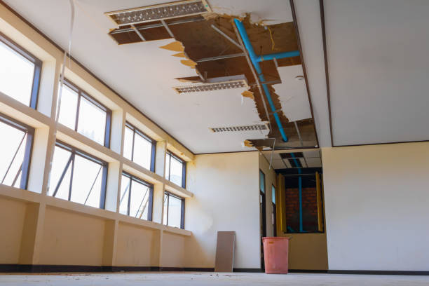 Best Ceiling water damage repair  in Stockton, KS