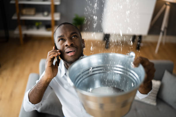 Best Water damage cleanup near me  in Stockton, KS