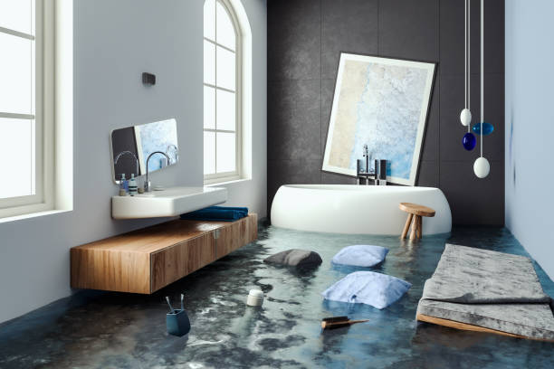 Best Professional water damage repair  in Stockton, KS