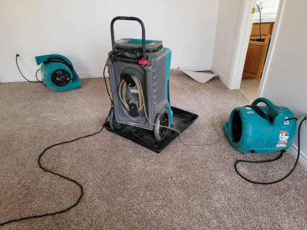 Best Flooded house restoration  in Stockton, KS