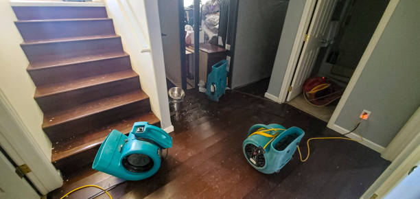 Best Commercial water damage restoration  in Stockton, KS