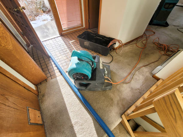 Best Water damage restoration specialists  in Stockton, KS