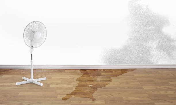 Best Sewage cleanup and water damage restoration  in Stockton, KS
