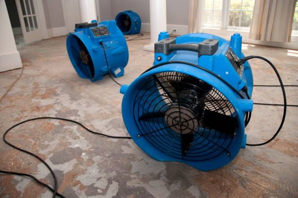 Best Flood damage cleanup  in Stockton, KS