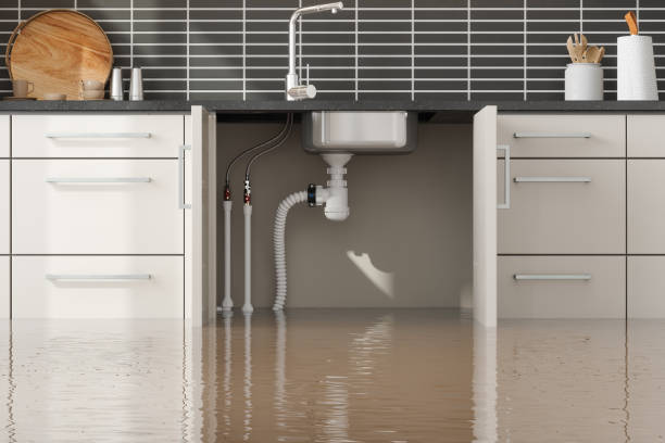 Best Water damage restoration cost  in Stockton, KS